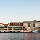 American Social - Bar & Kitchen - Tampa - Bars