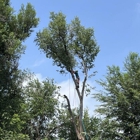 Monster Tree Service of Greater Boulder