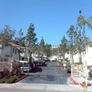 Peppertree Senior Apartments - Apartments