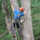 Colonial Tree Service