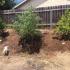 Moon Valley Nursery Of California Inc.