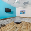 Pet Paradise gallery