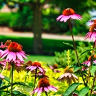 Oakwood Lawn & Landscaping