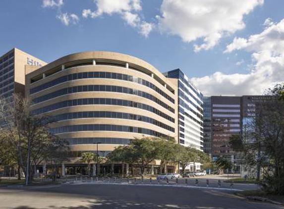 Elite Center For Minimally Invasive Surgery - Houston, TX