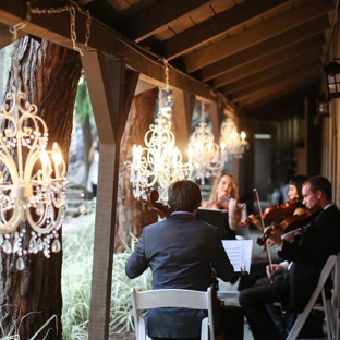 Organic String Quartet - Playa Del Rey, CA