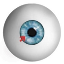 Eye Clinic of Racine Ltd - Optical Goods