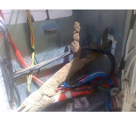 POD's Pest Control - Garbutt, QLD