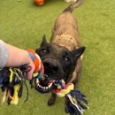 Paws 'n' Rec - Lake Mead - Pet Services