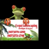 Coqui Landscaping LLC gallery