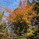 Cascade River State Park - State Parks