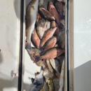 Rod Bender Fishing Charters - Guide Service