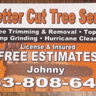 A Better Cut Tree Service