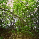 Ames Nowell State Park - Places Of Interest
