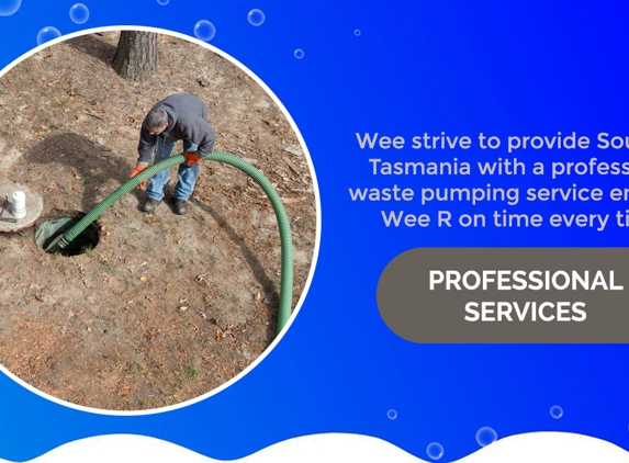 Wee R Pumping. Professional Services