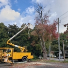 R & A Tree Service