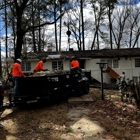 Tree and Green Services