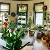 Findery Floral & Gift gallery