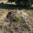 Cut It Out Land Management