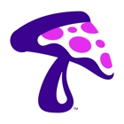 Mellow Mushroom - Riverview