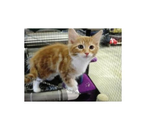 Select Pets Bicton - East Fremantle, WA