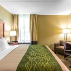 Comfort Inn Newport News/Williamsburg East