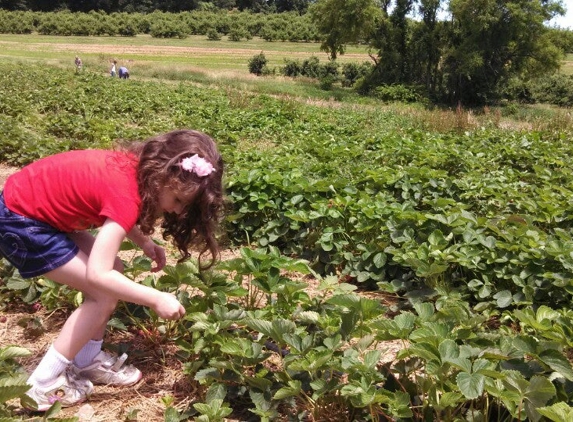 Shaw Orchards - White Hall, MD