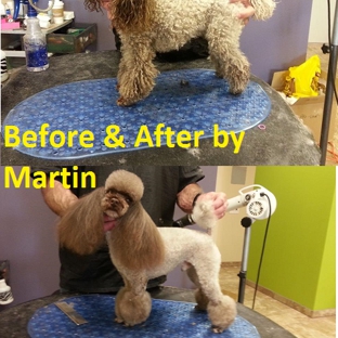 Pro -Groom - Roseville, CA