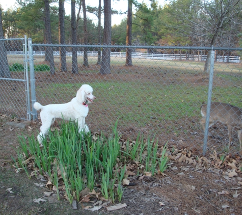 Lady & The Tramp's Grooming & Boarding - Bryant, AR