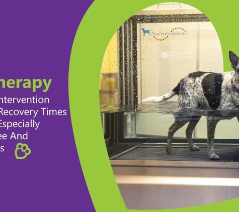 PetFocus Vetcare - Lavington, NSW. Hydrotherapy