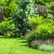 Excellent Landscaping Design and Maintenance LLC