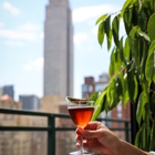 Vintage Green Rooftop