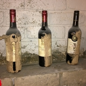 Gallery Image Number 5