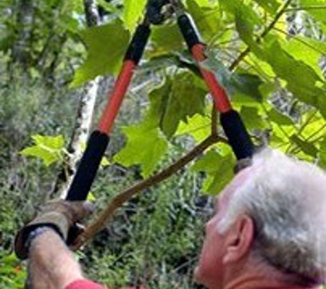 Dart Tree Service - Skaneateles, NY