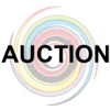 Auction Storm gallery