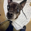 VCA Parkcrest Animal Hospital and Pet Lodge - Veterinarians