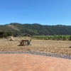 Sanford Winery & Vineyards gallery