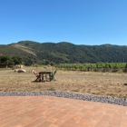 Sanford Winery & Vineyards