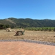 Sanford Winery & Vineyards