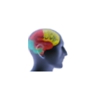 Puget Sound Neurology | Tacoma, Washington gallery