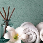 Ivy Spa & Wellness
