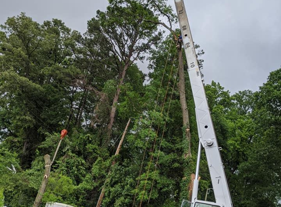 Erwin's Tree Service & Lawn Care - Marshville, NC