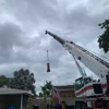 Tampa Bay Tree Service gallery