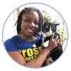 Cozy Cats Veterinary gallery