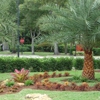 Landscape Creations by Scott Holston  Inc gallery