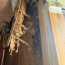 Royal Pest & Termite - Pest Control Services