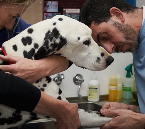 Maroondah Veterinary Clinic - Croydon, VIC