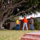 Pacific West Tree Care - Tree Service