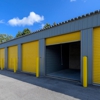 Storage Lion gallery