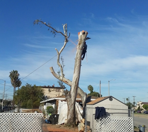 E & M Tree Service - Gardena, CA
