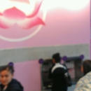 Yoyo Bliss Bar - Dairy Products